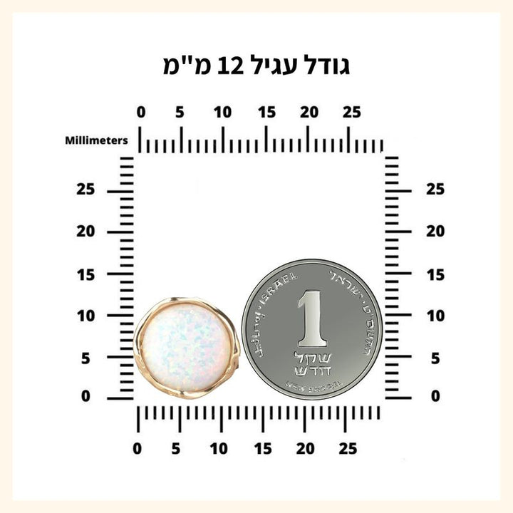 עגילים צמודים זהב 14K לברדורייט