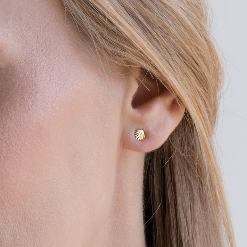 14k Solid Gold Shell Stud Earrings With Gold Closures