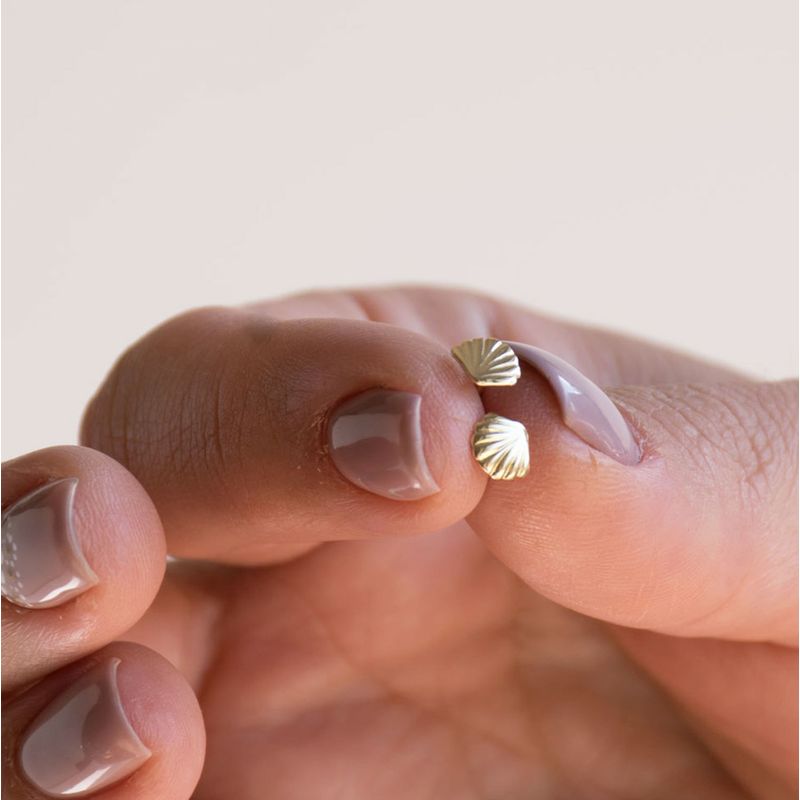 עגילי זהב 14 קראט צמודים צדף סוגרי זהב