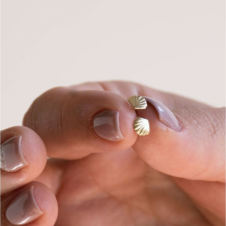 עגילי זהב 14 קראט צמודים צדף סוגרי זהב