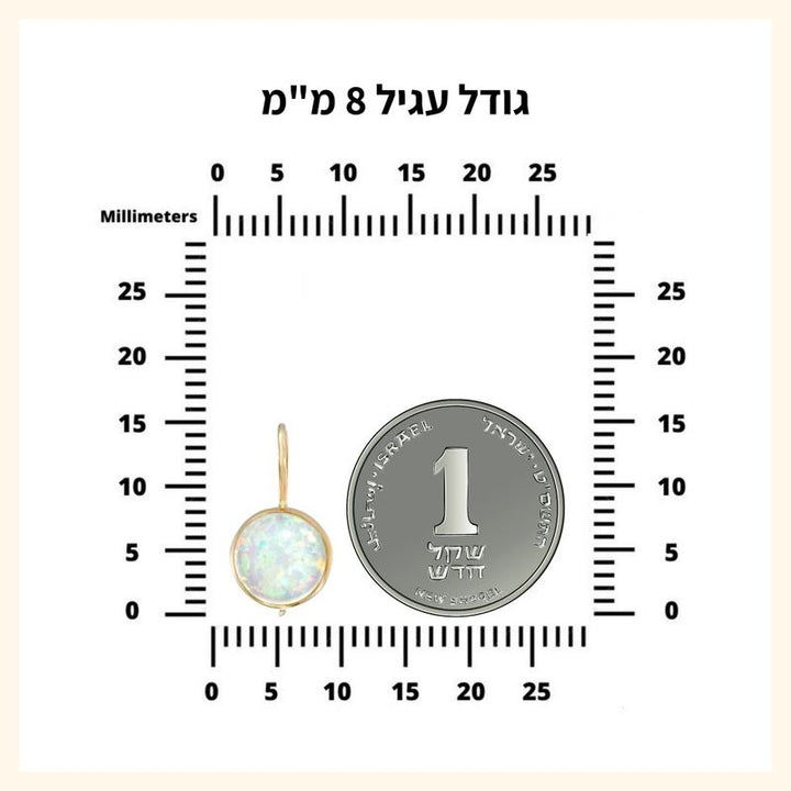 עגילי זהב 14K זירקון שחור