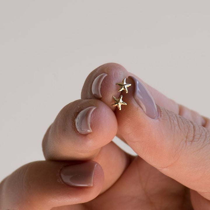 עגילי זהב 14 קראט צמודים כוכב ים