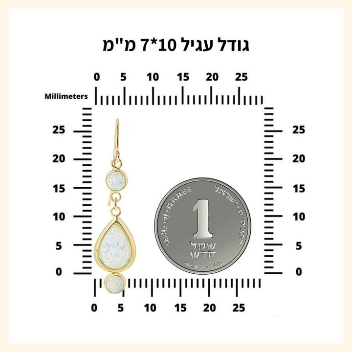 עגילים תלויים טיפה זהב 14K גארנט