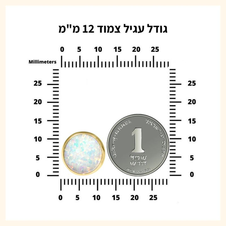 עגילי זהב 14K צמודים אבן אוניקס