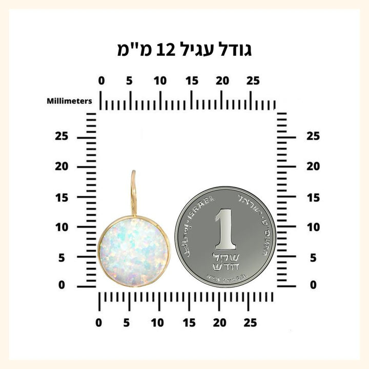 עגילים תלויים זהב 14K זירקון