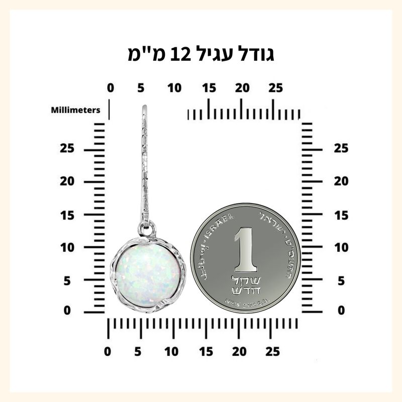 עגילי כסף 925 ארוכים באבני אמטיסט סגולות