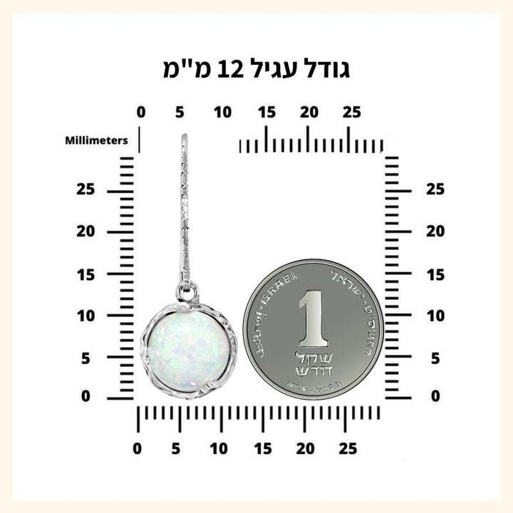 עגילים תלויים כסף 925 אופל שחור