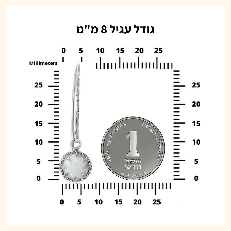 עגילי כסף 925 עגולים תלויים גארנט