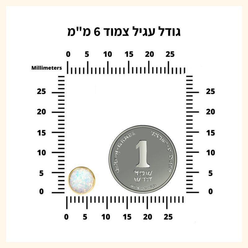 עגילי זירקון זהב 14K צמודים