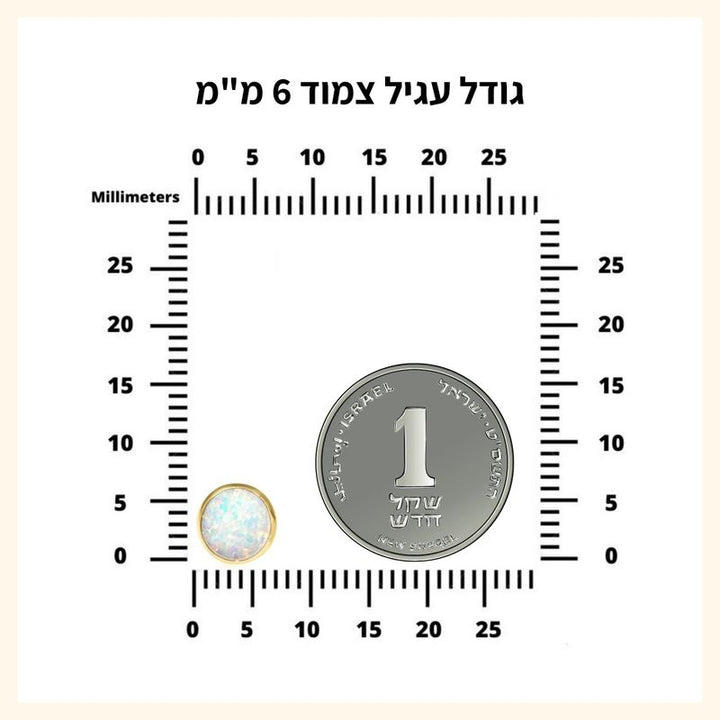 עגילי זהב צמודים 14K באבן צדף לבן