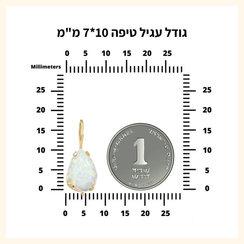 עגילי זהב 14K תלויים אמטיסט