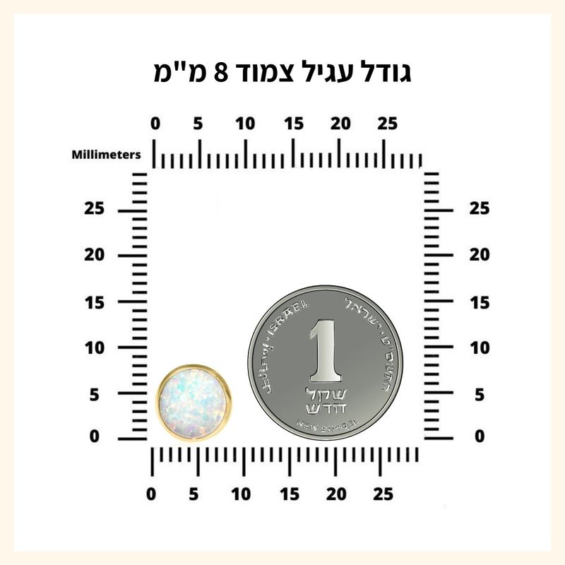 עגילי זהב 14K צמודים אבן אופל לבן