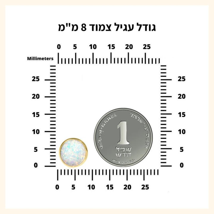 עגילי פנינה צמודים זהב 14K 8 מ"מ